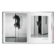 Load image into Gallery viewer, Walter Chandoha. Cats. Photographs 1942–2018 (German, French, English)
