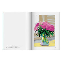 Load image into Gallery viewer, David Hockney. My Window (English)
