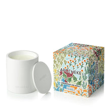 Load image into Gallery viewer, Lemongrass and Neroli 2-Wick Candle
