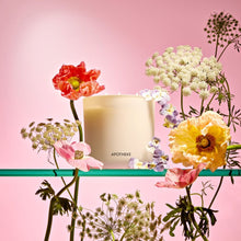 Load image into Gallery viewer, Elderflower Sugar 3-Wick Candle
