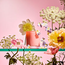 Load image into Gallery viewer, Elderflower Sugar Petite Candle
