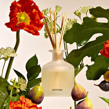 Load image into Gallery viewer, Fig and Olive Leaf Reed Diffuser
