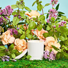 Load image into Gallery viewer, Holy Basil and Rosewater 2-Wick Candle
