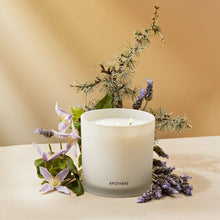 Load image into Gallery viewer, Hinoki Lavender 3-Wick Candle
