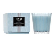 Load image into Gallery viewer, Nest New York Driftwood &amp; Chamomile Candle
