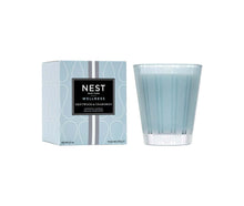Load image into Gallery viewer, Nest New York Driftwood &amp; Chamomile Candle
