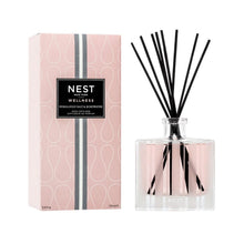 Load image into Gallery viewer, Nest New York Himalayan Salt &amp; Rosewater Diffuser 5.9 OZ
