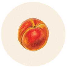 Load image into Gallery viewer, Peach Dish
