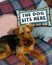 Load image into Gallery viewer, Dog Sits Here Needlepoint Pillow
