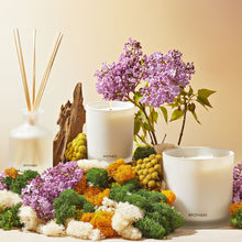Load image into Gallery viewer, White Vetiver 3-Wick Candle
