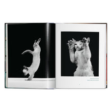 Load image into Gallery viewer, Walter Chandoha. Cats. Photographs 1942–2018 (German, French, English)
