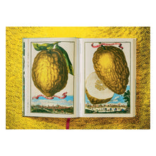 Load image into Gallery viewer, J. C. Volkamer. The Book of Citrus Fruits (German, French, English)

