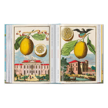 Load image into Gallery viewer, J. C. Volkamer. The Book of Citrus Fruits. 45th Ed. (German, French, English)
