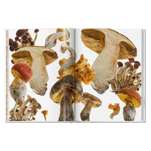 Load image into Gallery viewer, The Gourmand's Mushroom. A Collection of Stories and Recipes (English)
