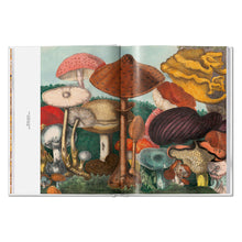 Load image into Gallery viewer, The Gourmand's Mushroom. A Collection of Stories and Recipes (English)
