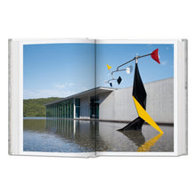 Load image into Gallery viewer, Contemporary Concrete Buildings (German, French, English)

