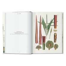 Load image into Gallery viewer, Martius. The Book of Palms. 45th Ed. (German, French, English)
