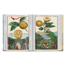 Load image into Gallery viewer, J. C. Volkamer. The Book of Citrus Fruits. 45th Ed. (German, French, English)

