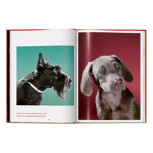 Load image into Gallery viewer, Walter Chandoha. Dogs. Photographs 1941–1991 (English)
