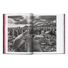 Load image into Gallery viewer, Sebastião Salgado. Genesis. 45th Ed. (English)
