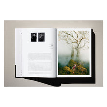 Load image into Gallery viewer, Albert Watson. Kaos (German, French, English)
