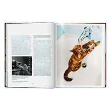 Load image into Gallery viewer, Walter Chandoha. Cats. Photographs 1942–2018 (German, French, English)
