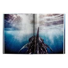 Load image into Gallery viewer, Michael Muller. Sharks (English)
