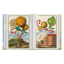 Load image into Gallery viewer, J. C. Volkamer. The Book of Citrus Fruits. 45th Ed. (German, French, English)
