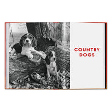 Load image into Gallery viewer, Walter Chandoha. Dogs. Photographs 1941–1991 (English)
