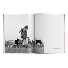 Load image into Gallery viewer, Walter Chandoha. Cats. Photographs 1942–2018 (German, French, English)
