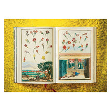 Load image into Gallery viewer, J. C. Volkamer. The Book of Citrus Fruits (German, French, English)

