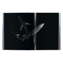 Load image into Gallery viewer, Michael Muller. Sharks (English)
