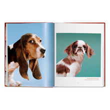 Load image into Gallery viewer, Walter Chandoha. Dogs. Photographs 1941–1991 (German, French, English)
