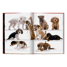 Load image into Gallery viewer, Walter Chandoha. Dogs. Photographs 1941–1991 (English)
