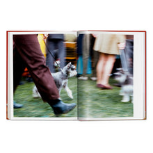 Load image into Gallery viewer, Walter Chandoha. Dogs. Photographs 1941–1991 (German, French, English)
