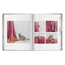 Load image into Gallery viewer, Walter Chandoha. Cats. Photographs 1942–2018 (German, French, English)
