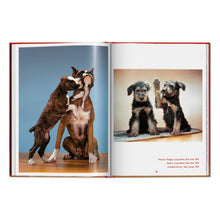 Load image into Gallery viewer, Walter Chandoha. Dogs. Photographs 1941–1991 (English)
