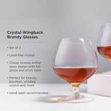 Load image into Gallery viewer, Raye Crystal Wingback Brandy Glasses Set of 2
