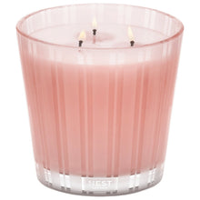 Load image into Gallery viewer, Nest New York Himalayan Salt &amp; Rosewater Candle
