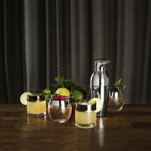 Load image into Gallery viewer, Irving Stainless Steel Penguin Cocktail Shaker
